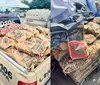 Polícia apreende 450kg de carvão vegetal irregular em Salvador