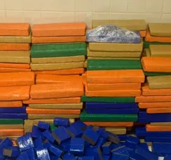 Polícia apreende uma tonelada de maconha em cidade da Bahia