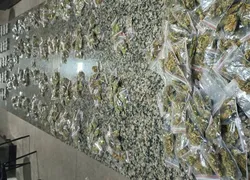 Polícia apreende mais de mil porções de drogas em bairro de Salvador
