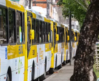 Confira programação e operação de transporte do Natal de Salvador