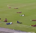 Enxame de abelhas invade campo e interrompe jogo em Feira de Santana