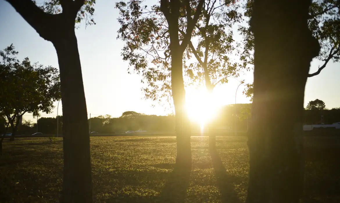 Organização Mundial de Saúde