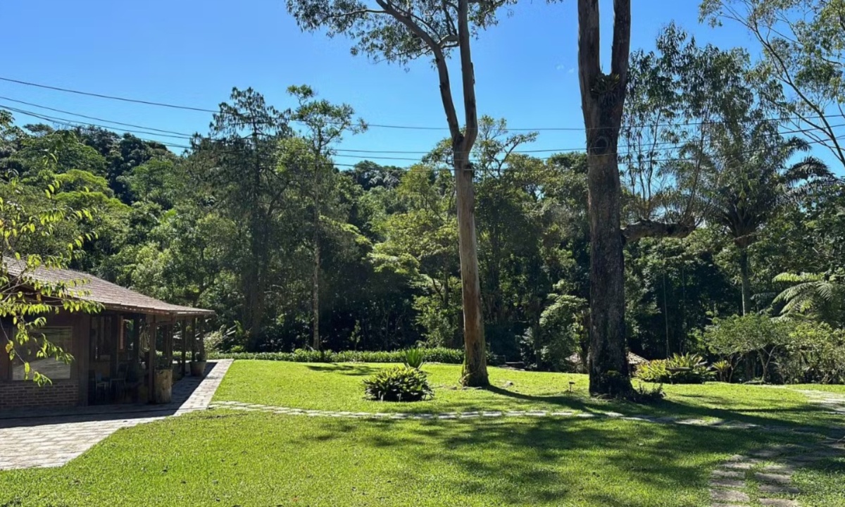 Recluso em sítio, Marcello Novaes mostra rotina com animais; ator vive sozinho aos 64 anos e recebeu recado da ex; Letícia Spiller