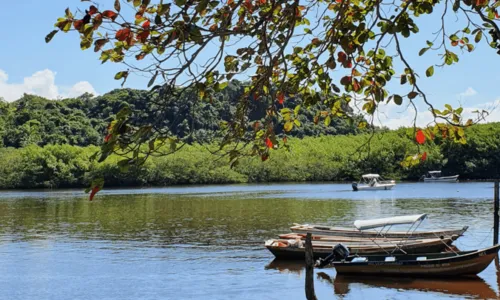 
				
					Dia Mundial do Turismo: confira cinco destinos baianos para conhecer na baixa temporada
				
				