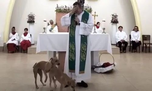 
				
					Cães viralizam na web após tentar 'cruzar' no altar de igreja
				
				