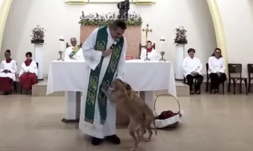 
				
					Cães viralizam na web após tentar 'cruzar' no altar de igreja
				
				
