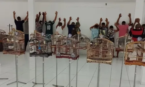 
				
					Mais de 30 pessoas são presas com aves em Salvador
				
				