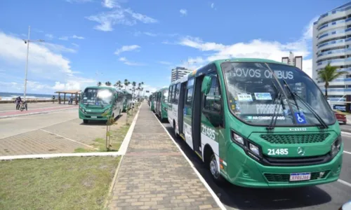 
				
					Frota de Salvador ganha 41 novos ônibus com ar-condicionado
				
				