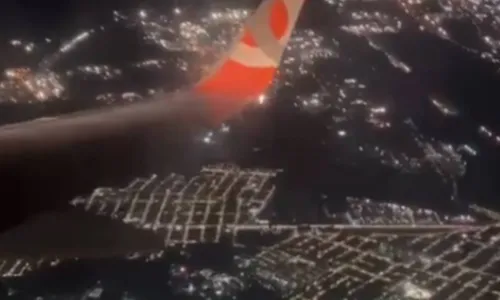
				
					Caranguejo na pista faz avião arremeter em aeroporto de Vitória
				
				