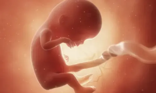 
				
					Doze semanas de gravidez: entenda como o bebê se desenvolve
				
				