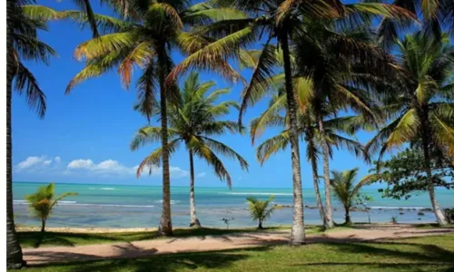 
				
					Porto Seguro é um dos destinos mais buscados no Brasil
				
				