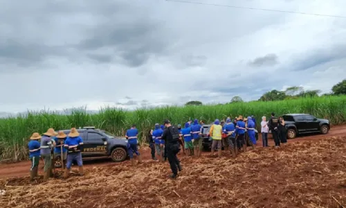 
				
					Mais de 200 pessoas são resgatadas do trabalho escravo em GO e MG
				
				