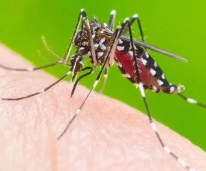 
				
					Casos de dengue têm alta na Bahia no primeiro trimestre de 2023
				
				