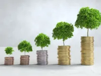 Quer aprender a produzir uma colheita milionária? Doe e receberá!