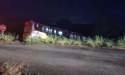 
		Ônibus da cantora Brisa Star cai em ribanceira em rodovia no Ceará