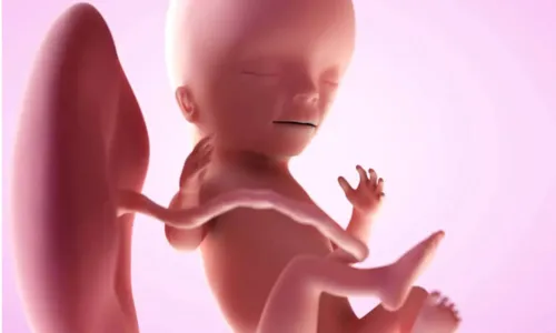 
				
					15 semanas de gravidez: entenda como o bebê se desenvolve
				
				