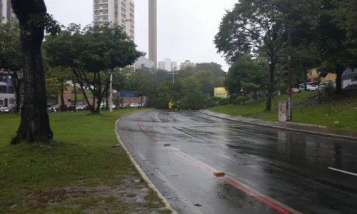 
				
					Árvore cai e fecha pista na Avenida Garibaldi, em Salvador
				
				