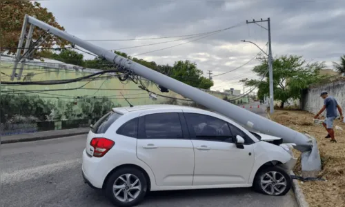
				
					Bahia tem aumento em interrupções de energia por colisões em postes
				
				