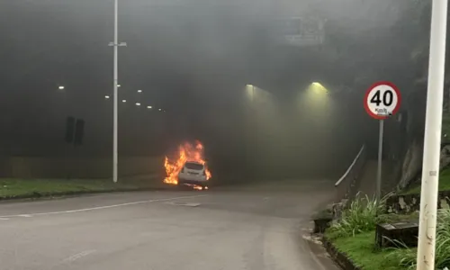 
				
					Carro pega fogo na entrada de túnel na Avenida Gal Costa; veja vídeo
				
				