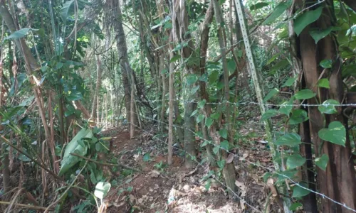 
		Família da atriz Ingra Lyberato tem chácara invadida em Salvador