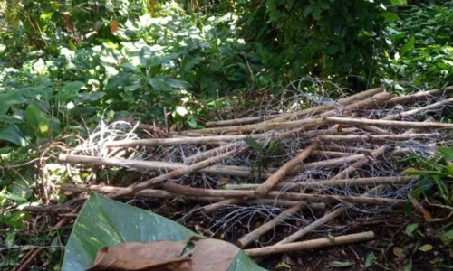 
		Família da atriz Ingra Lyberato tem chácara invadida em Salvador