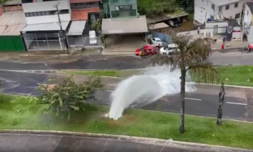 
				
					Fornecimento de água é retomado em bairros afetado por rompimento de tubulação em Salvador
				
				