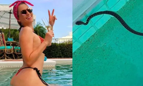 
				
					Lívia Andrade é surpreendida com cobra na piscina; assista
				
				