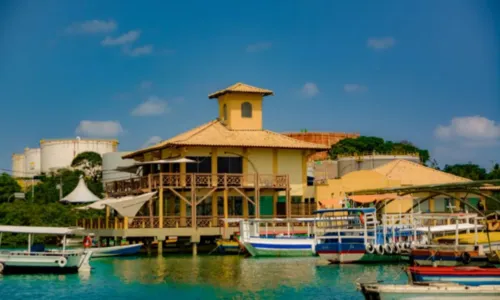 
		Madre de Deus: como chegar, o que fazer, quando ir e onde ficar