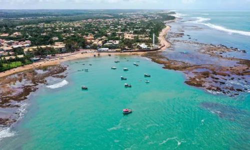 
				
					Praia do Forte promove festival cultural e gastronômico em agosto
				
				