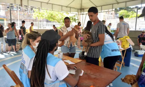 
				
					Salvador inicia campanha de vacinação antirrábica na segunda (31)
				
				
