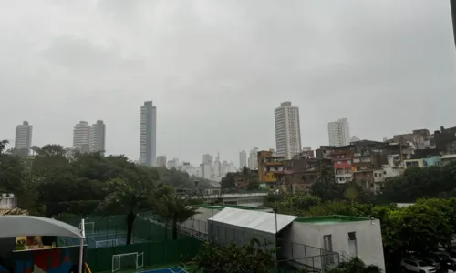 
				
					Salvador tem quase 100 ocorrências provocadas por chuva
				
				