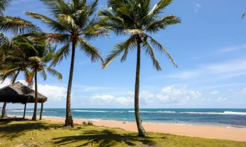 
				
					Sombra e água fresca! Conheça praias secretas da Bahia
				
				