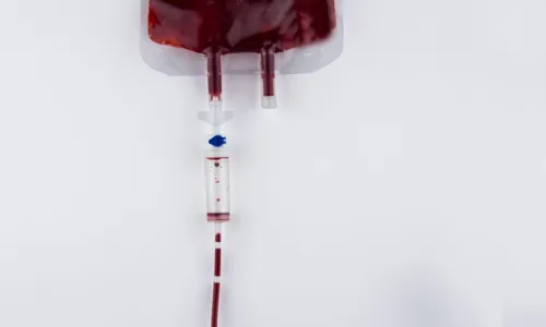 
				
					UFBa faz campanha de doação de sangue para animais; confira
				
				