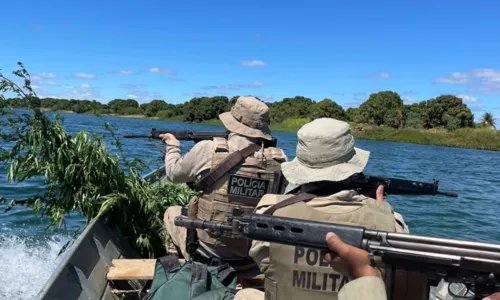 
		Vídeo: operação destrói 15 mil pés de maconha após denúncia na Bahia