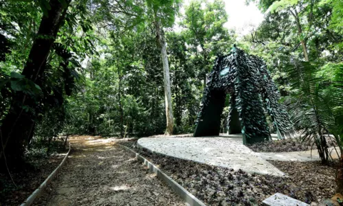 
				
					Bora Ali?: Conheça o Jardim Botânico de Salvador
				
				