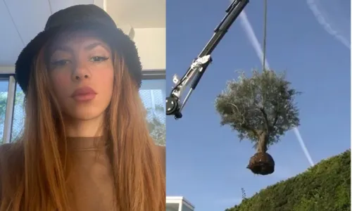 
				
					Shakira manda guincho tirar árvore da casa em que morava com Piqué
				
				