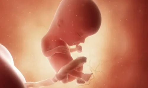
				
					Treze semanas de gravidez: entenda como o bebê se desenvolve
				
				