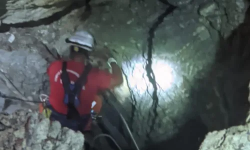 
				
					Cão é resgatado após cair em poço com 10 metros de profundidade
				
				