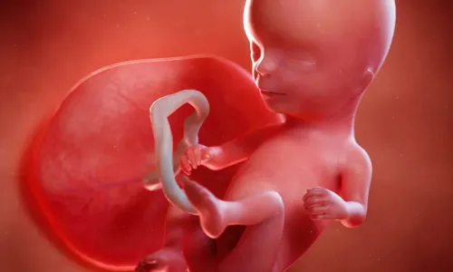 
				
					Quatorze semanas de gravidez: entenda como o bebê se desenvolve
				
				