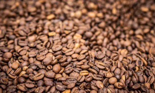 
				
					Bahia Farm Show 2023 terá cafés premiados da Chapada Diamantina
				
				