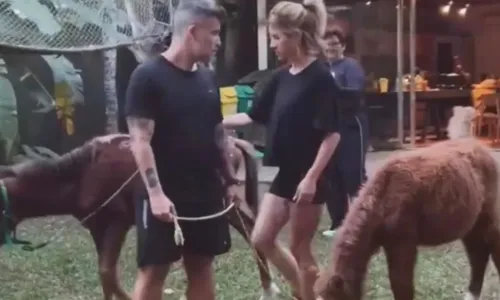 
				
					Bruno Gagliasso ganha cavalos resgatados de presente de Giovanna Ewbank
				
				