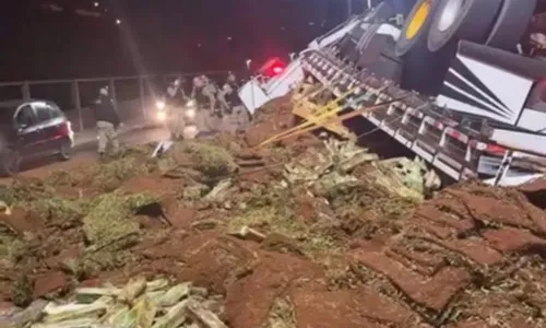 
				
					Caminhão com mais de 1 tonelada de maconha tomba em frente batalhão da PM
				
				