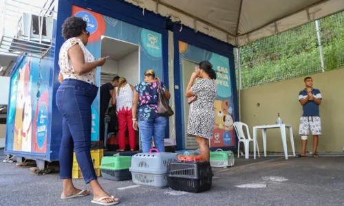 
				
					Castramóvel inicia atendimento no Jardim Botânico de Salvador
				
				