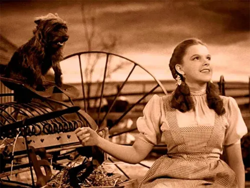 
				
					Clássico de 'O Mágico de Oz' tem seis versões diferentes em português
				
				
