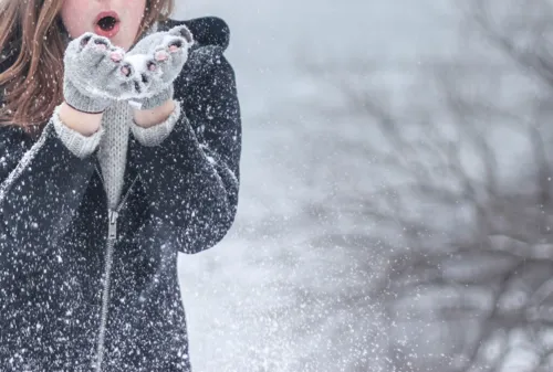 
				
					Como cada signo sobrevive ao Inverno
				
				