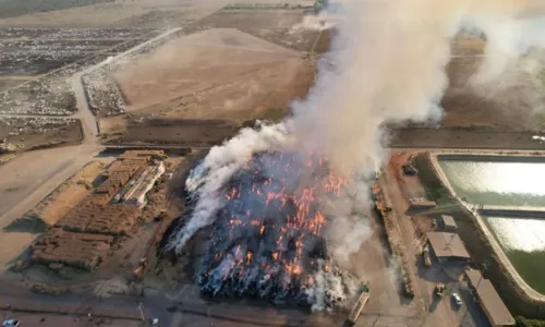 
				
					Depósito de feno é atingido por incêndio no oeste da Bahia
				
				