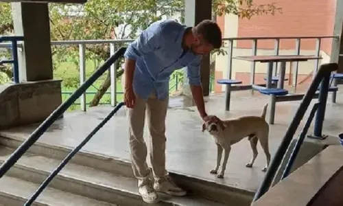 
				
					Rodrigo Hilbert viraliza após encontro com mascote de universidade em Ilhéus
				
				