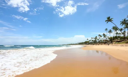 
				
					Sombra e água fresca! Conheça praias secretas da Bahia
				
				