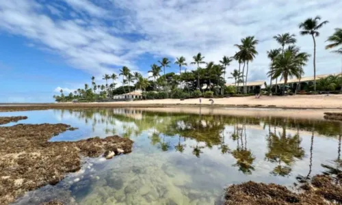 
				
					Sombra e água fresca! Conheça praias secretas da Bahia
				
				