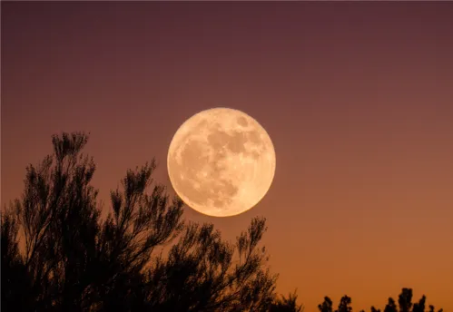 
				
					Tudo sobre a Superlua de 1º de agosto e o que significa para o seu signo
				
				